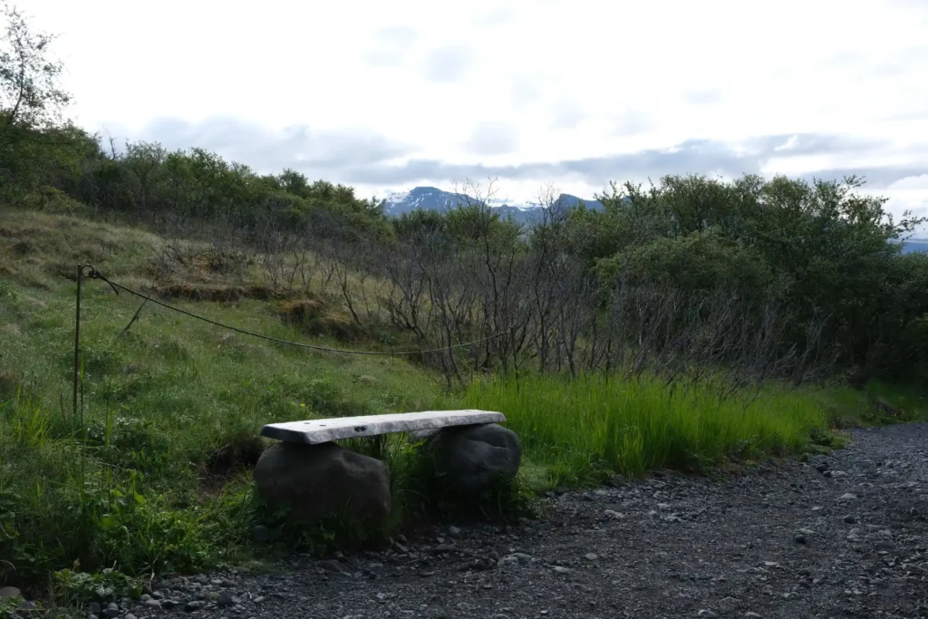 skaftafell-nature-reserve-may-2025