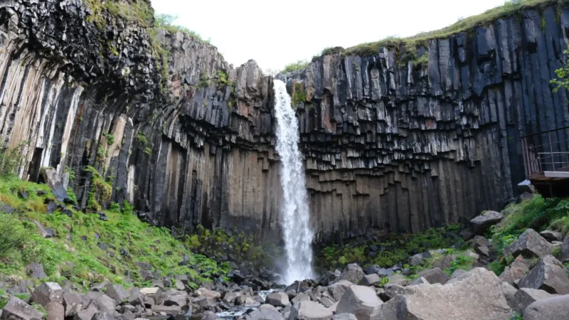 svartifoss-waterfall-in-iceland