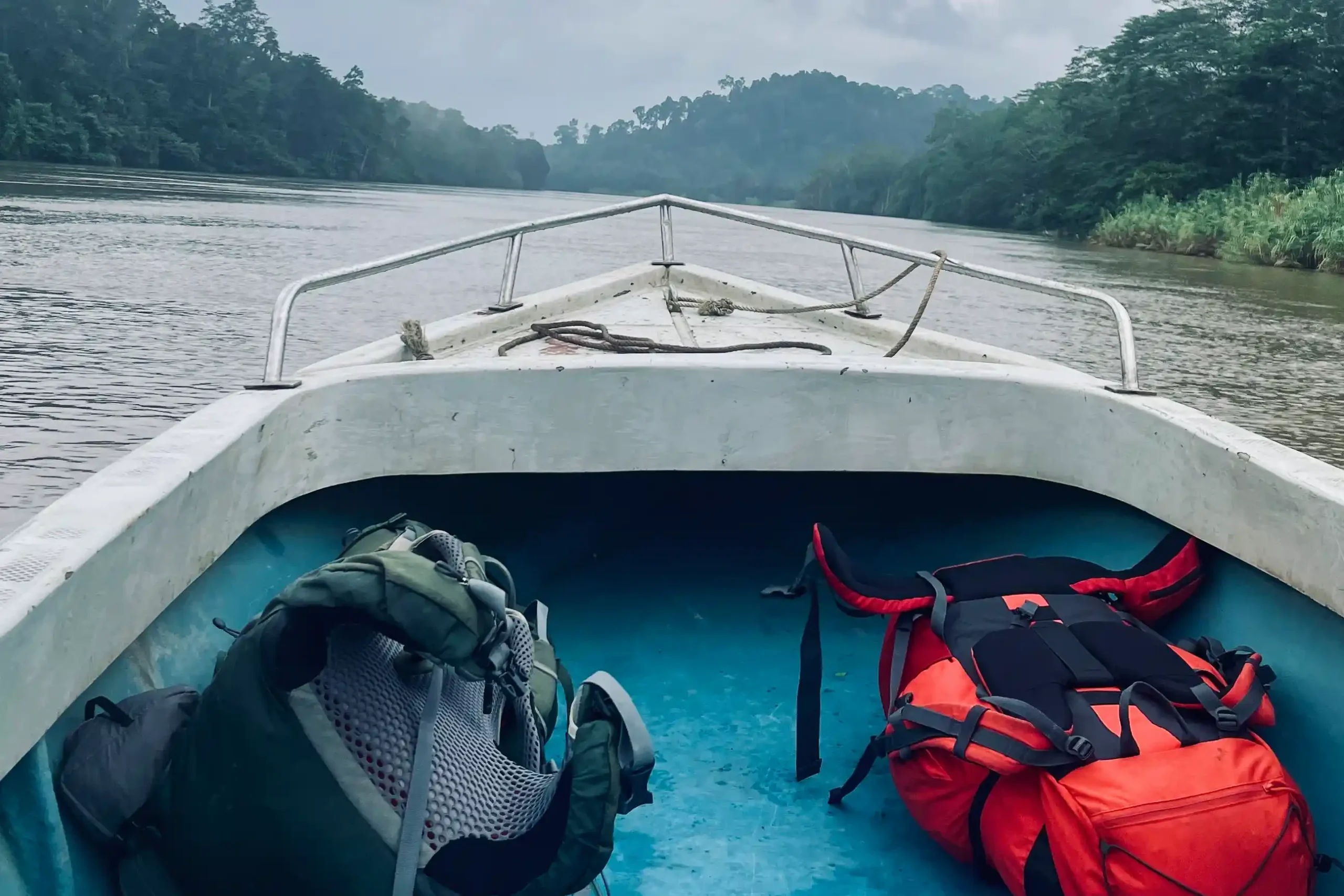 borneo-kinabatangan