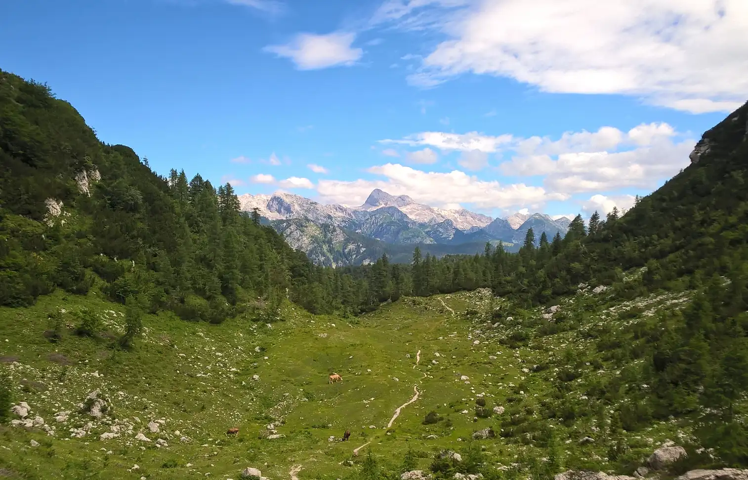 slovenian-mountains