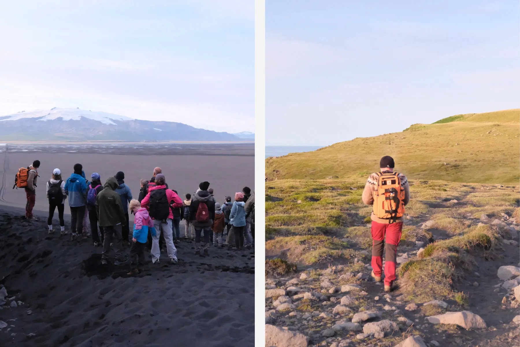 puffin-guided-tour-in-southern-iceland