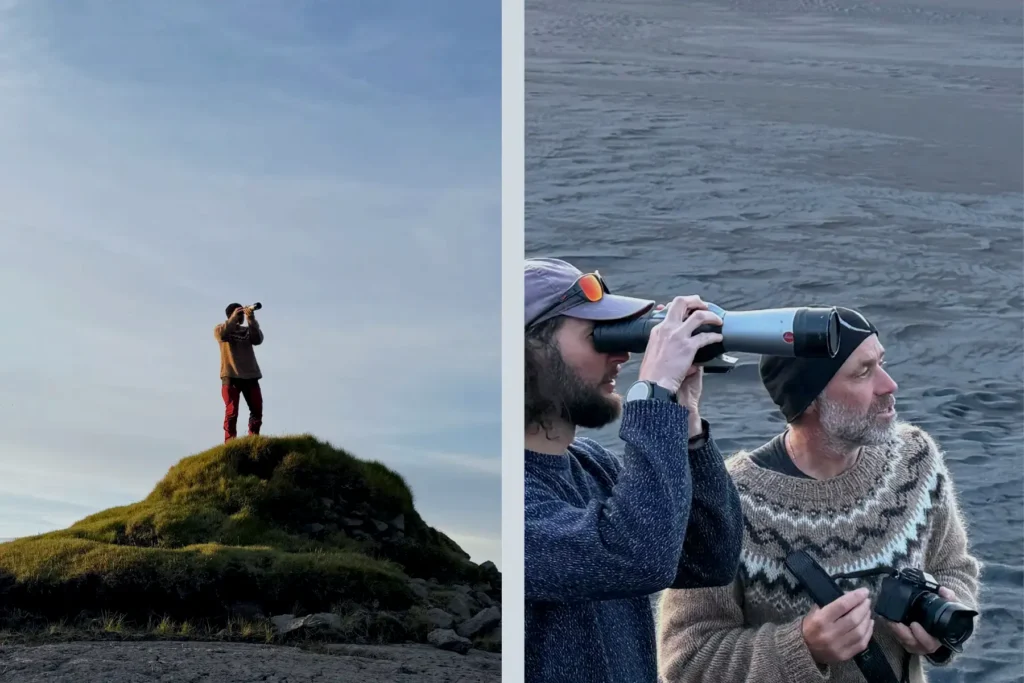 puffin-tour-guide-iceland