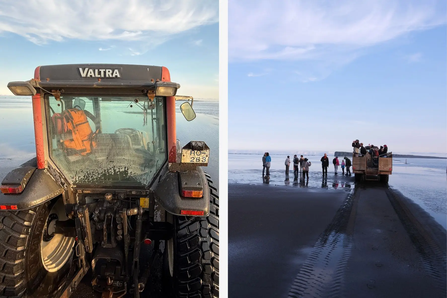 puffin-tour-traktor-cart-in-southern-iceland
